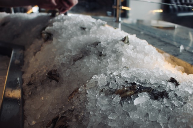 Oysters on ice